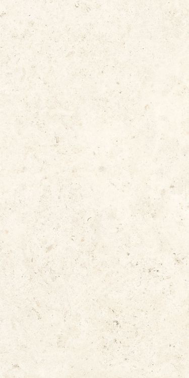 Lightstones.03 Shell Soft Touch 12 x 24